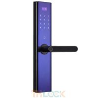 Khóa vân tay bán tự động BTM103